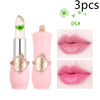 Maymei Moisturizing Lip Balm Dried Flower Color Changing Lipstick